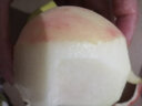 优仙果新鲜油桃红皮黄心桃子 脆甜应季时令新鲜水果 精选3斤装（约5个/斤） 实拍图