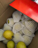 京鲜生 新疆库尔勒香梨8斤 单果120g起 水果礼盒 包装随机 实拍图