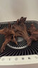 逸乐宠 紫柚木鱼缸造景沉木天然枯木头水族草缸懒人装饰型莫斯树桩根 小号沉木15-20cm(形状随机) 实拍图