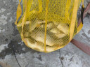 佳钓尼鱼护速干鱼护网黑坑加厚涂胶鱼护包鱼网兜袋渔护渔网兜 晒单实拍图