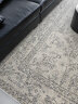 青山美宿无甲醛零胶水抗菌地毯无胶空中花园客厅轻奢赛波斯风现代美式卧室 米灰白色 240×350CM 晒单实拍图