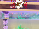 闽江（minjiang）鱼缸水族箱家用屏风生态造景中大型金龙鱼缸客厅免换水鱼缸 纯洁白色（养鱼礼包+造景礼包+升级过滤） 长120.6*宽36.7*高139(缸体+底柜) 实拍图