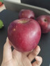 正宗高端黑钻苹果黑卡苹果5/9斤 新鲜应季稀有黑苹果冰糖心现摘W8 3斤【带箱小果】试吃 实拍图