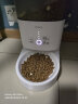 霍曼（Homerun）Real智能自动喂食器猫粮狗粮定时猫咪自动投食器（配陶瓷碗） 晒单实拍图