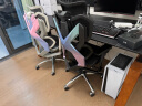骁骑X5S人体工学椅电竞椅家用可躺办公电脑椅老板椅机械游戏送礼 实拍图