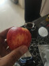 芒司令新西兰进口小苹果嘎啦果加力果gala姬娜果红果新鲜孕妇水果 樱桃小苹果12颗（65-70mm） 晒单实拍图