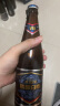 燕京啤酒 V10白啤10度精酿啤酒426ml*12瓶  春日美酒 整箱装 实拍图