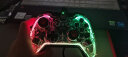 墨将 墨将彩虹C1 Lite有线游戏手柄PC电脑Steam喷射战士3塞尔达传说apex switch手柄 C1 Lite标准+3M线 实拍图