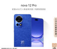 华为nova 12 Pro 前置6000万人像追焦双摄 512GB 12号色物理可变光圈 鸿蒙智慧通信智能手机nova系列 实拍图