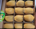 佳沛（zespri）新西兰 阳光金奇异果12粒礼盒特大果单果约122-146g 猕猴桃 水果 实拍图