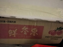陕西大荔新鲜冬枣脆甜鲜枣正宗当季时令水果冰糖枣子青枣脆枣礼盒 现摘现发5斤优选好枣 脆甜大果装（超值热卖） 实拍图