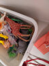 贝恩施仿真动物模型儿童3-6岁动物园玩具男女孩-36件套（赠收纳盒） 晒单实拍图