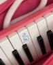 奇美口风琴37键DHS儿童中小学生用课堂3-2键教学初学者男孩女孩用 DHS37键口风琴粉色【全套配件】 实拍图
