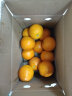 京鲜生 重庆奉节脐橙 2.5kg  单果140g起 生鲜水果  实拍图