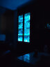 金日旺盛世rgb灯带装饰自粘电脑背景灯条氛围灯usb5v灯条机箱桌面led变色 APP控制灯带 240灯/4米 晒单实拍图