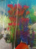 水族箱鱼池鱼缸水草箱造景仿真水草 人物假山珊瑚贝壳假鱼水草塑料水草 仿真植物 鱼缸布景 CL44七指草粉色 高40CM 实拍图