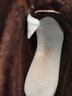 骆驼（CAMEL）【远行】大黄靴女微绒猪巴马丁靴厚底工装靴 L23W076114 绿色 37 实拍图