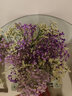 爱满（AIMAN）满天星天然干花花束ins网红生日 新房装饰摆件风干真插花家居摆设 紫色满天星+黄水晶  【带M款花瓶】 实拍图