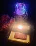 廿一客（21cake） 21cake 金枝（粉白巧克力慕斯）生日蛋糕  生日礼物同城配送 实拍图