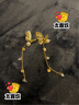 SENDMES925银针四叶草耳钉星期套装耳环女学生耳坠生日礼物送女友老婆 时尚9对耳钉【礼盒装】 实拍图
