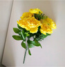 仿真富贵牡丹单支花束欧式假花绢花干花商场酒店客厅装饰插花花艺 黄色 实拍图