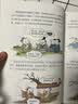 萌趣论语（套装2册）7岁+ 真正入门级的国学启蒙书，让孩子轻松吃透《论语》，打开格局，一生受用！ 绘时光著 实拍图