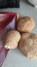 长白山青松邑 猴头菇 长白山产地 250g 炖汤煲汤山珍干货食用菌 东北特产 250g/袋 实拍图