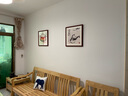 紫腾随轩齐白石装饰画新中式客厅背景墙面挂画卧室饭厅餐厅水墨虾壁画 苹果 50*50cm红木色实木框 实拍图