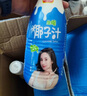 欢乐家 大瓶椰子汁 果肉型植物蛋白饮料 椰奶椰汁饮品宴席聚餐整箱 【2瓶】椰子汁1L*2瓶 实拍图
