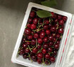 田拾记智利车厘子【JD-多地次日达】4j级车厘子5kg樱桃水果送礼品礼盒 1斤(净重) 简装【不划算】 大果 J 26-28mm丨个小不推荐 实拍图