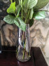 极度空间 玻璃花瓶插花瓶绿植物水培养生态瓶养花容器家居装饰摆件 实拍图