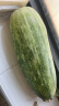 愉果（yuguo）山东头茬羊角蜜 甜瓜 香瓜 新鲜水果生鲜 羊角蜜5斤头茬精选装 单果250g起 晒单实拍图