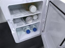 新飞（frestec）车载冰箱 12L小冰箱 迷你母乳冰箱小型家用宿舍便携式温显冷暖箱 晒单实拍图
