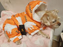 华元宠具（hoopet）狗狗衣服冬天保暖四脚羽绒服宠物小型犬比熊柯基棉服泰迪冬季衣服 【加厚加绒】四脚棉服 橘 XL：背长37cm【建议9-12斤】 实拍图