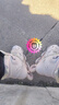 斯威（SWAY）轮滑鞋成人男女溜冰鞋休闲平花专业滑轮鞋大学生初学者滑冰旱冰鞋 粉【一体支架+安全护具+包】 38 日常鞋码(38-39) 实拍图