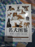 【铜版纸】全2册猫图鉴+名犬图鉴狗狗训练教程狗狗品种大全名犬图鉴179种纯种猫的特征宠物习性书籍动物科普 养猫养狗实用指南书籍 2册 晒单实拍图