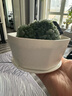 寿禾 花盆含托多肉绿植盆栽种植家庭园艺 比加盆-白色含托 实拍图