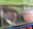 家の物语日本冰箱收纳盒食品级抽屉式蛋架盒冰箱水果盒鸡蛋盒整理储物盒子 冰箱收纳盒（M） 实拍图