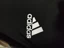 阿迪达斯（adidas）男裤子26秋新款针织运动裤跑步健身卫裤棉质舒适透气休闲束脚长裤 针织舒适/内里毛圈【热销款】 S 【165-170cm/110-120斤】 实拍图