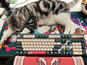 阿米洛（Varmilo） 试轴器 个性键帽 小挂饰 小礼品 虎年限定空格键帽一个 实拍图