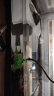 阔庭乌龟缸桌面透明生态乌龟缸乌客厅水族箱黑色 实拍图