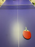 双鱼（DOUBLE FISH） 乒乓球桌标准可移动折叠式乒乓球台室内家用训练比赛乒乓球案子 520【含网架球网球拍乒乓球】 晒单实拍图