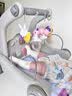飒望【德国】婴儿玩具0-3-6个月宝宝学步车婴幼儿新生儿车百天见面礼 【升级摇铃】健身架+学步车【4合一电池版】 婴儿早教益智玩具脚踩钢琴 新生儿见面礼周岁礼 实拍图