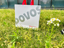奔腾（POVOS）吹风机家用高速负离子电吹风机 大风力速干低噪音学生宿舍便携风筒送女生日礼物 烟熏粉【经典入门PH9909】赠风嘴+赠礼盒 实拍图