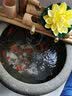 流水趣 竹排竹子流水循环摆件流水器上半部庭院客厅阳台陶瓷荷花缸造景 【组合】中53*35cm缸＋竹排+底座 实拍图