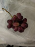 欢乐果园（Joy Tree）澳洲 进口无籽红提/葡萄 提子 450g尝鲜装 新鲜水果 晒单实拍图