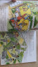 神奇校车·手工益智版（全套15册）儿童绘本3-6岁科普百科全书漫画故事书小学生课外阅读书籍 实拍图