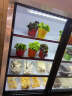 冰熊点菜柜展示柜冷藏冷冻冰箱烧烤熟食蔬菜立式双温三温冰柜商用 1.8米三门 实拍图