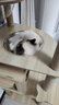 珑小宠猫爬架猫窝加粗大型猫树一体太空舱猫架子小户型不占地麻绳猫玩具 200cm 8层 【升级多猫款】 实拍图