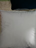 恒源祥纯棉抱枕芯纯色靠枕芯沙发靠垫内胆40 45 50 55 60婚庆靠枕芯腰枕 白色(一对) 60cm*60cm 含枕芯 实拍图